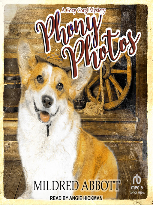 Cover image for Phony Photos